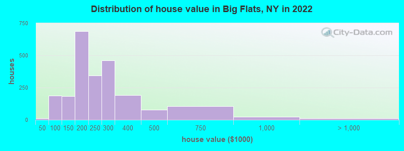 Distribution of house value in Big Flats, NY in 2022
