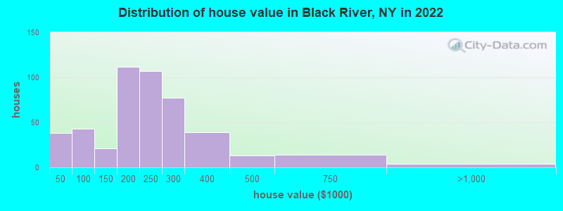 Distribution of house value in Black River, NY in 2022