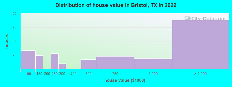 Distribution of house value in Bristol, TX in 2022