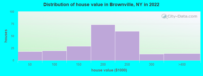 Distribution of house value in Brownville, NY in 2022