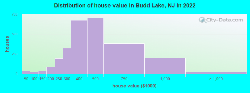 Distribution of house value in Budd Lake, NJ in 2019