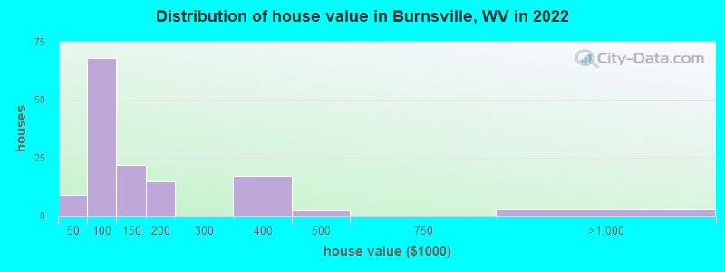 Distribution of house value in Burnsville, WV in 2022