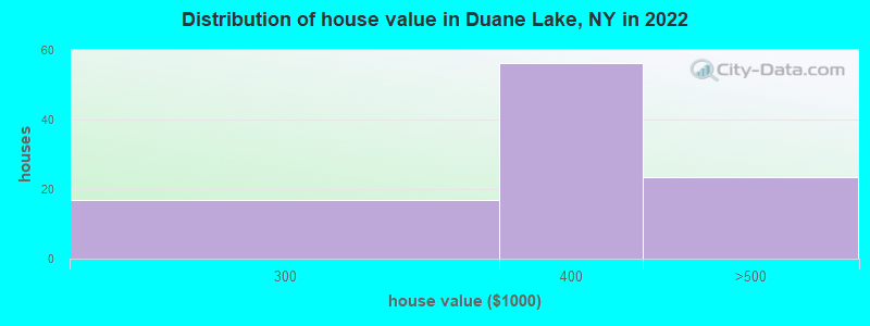 Distribution of house value in Duane Lake, NY in 2022