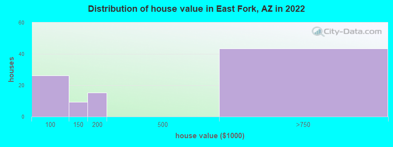 Distribution of house value in East Fork, AZ in 2022