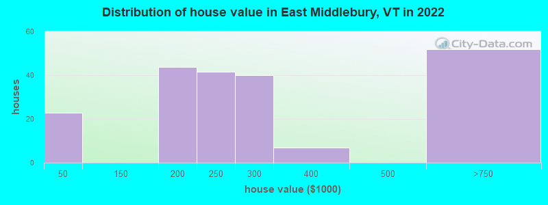 Distribution of house value in East Middlebury, VT in 2022