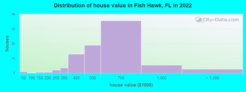 Distribution of house value in Fish Hawk, FL in 2019