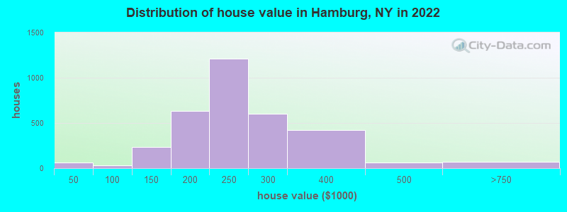 Distribution of house value in Hamburg, NY in 2022