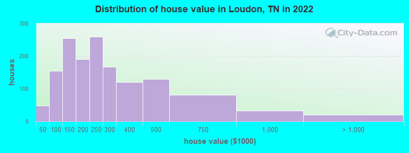 Distribution of house value in Loudon, TN in 2021