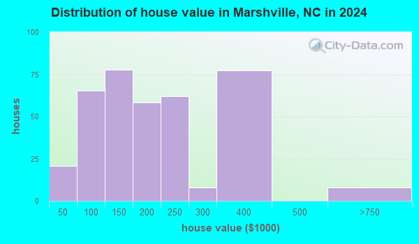 Marshville, North Carolina (NC 28103) profile: population, maps, real ...
