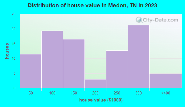 Medon, Tennessee (TN 38356) profile population, maps, real estate