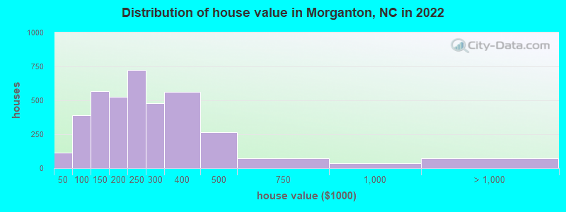 Distribution of house value in Morganton, NC in 2022
