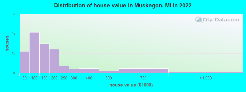 Distribution of house value in Muskegon, MI in 2019
