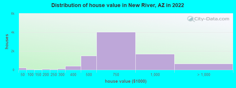 Distribution of house value in New River, AZ in 2021