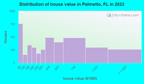 Palmetto, Florida (FL 34221) profile: population, maps, real estate