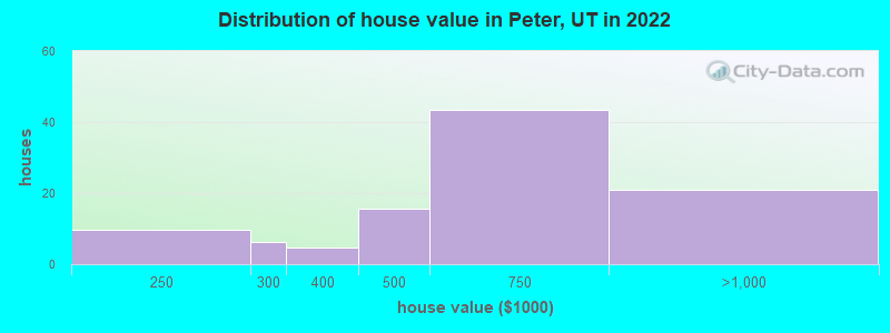 Distribution of house value in Peter, UT in 2022