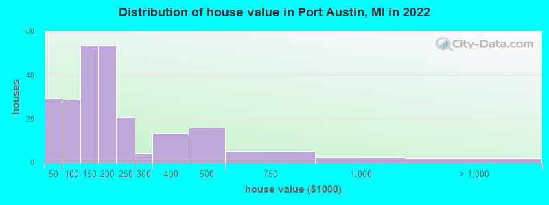 Distribution of house value in Port Austin, MI in 2022