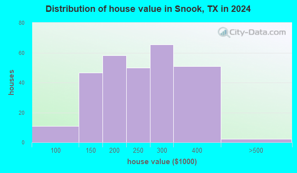 Snook, Texas (TX 77878, 77879) profile: population, maps, real estate ...