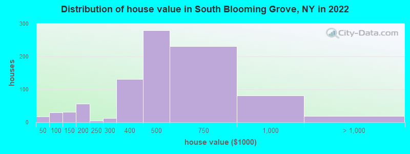 Distribution of house value in South Blooming Grove, NY in 2019