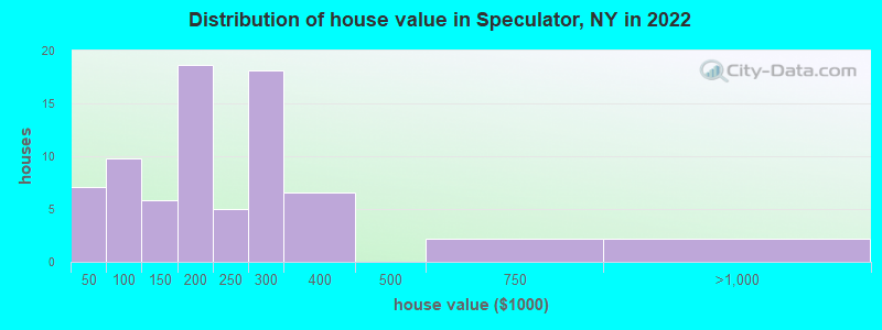 Distribution of house value in Speculator, NY in 2022