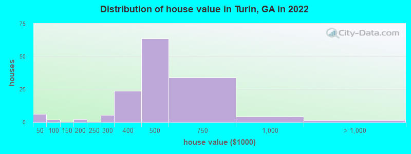 Distribution of house value in Turin, GA in 2022