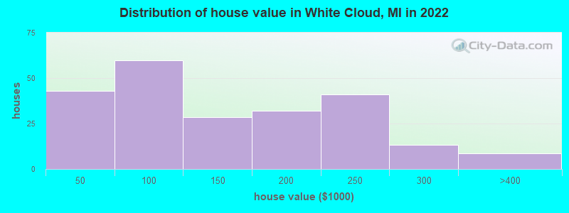 Distribution of house value in White Cloud, MI in 2022