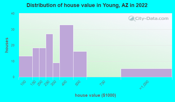 Young Arizona Az 85554 Profile Population Maps Real Estate