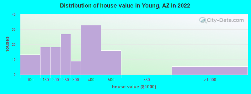 Distribution of house value in Young, AZ in 2019