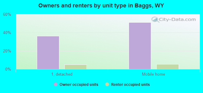 Owners and renters by unit type in Baggs, WY