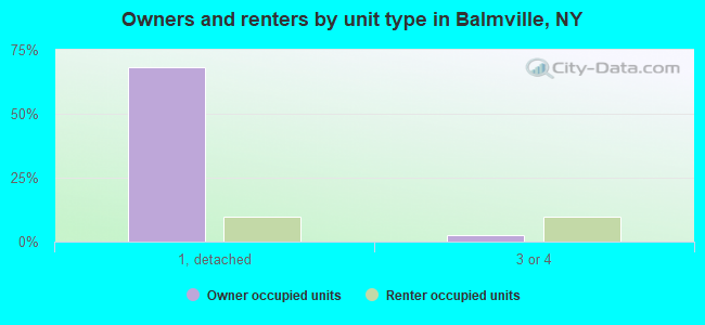 Owners and renters by unit type in Balmville, NY