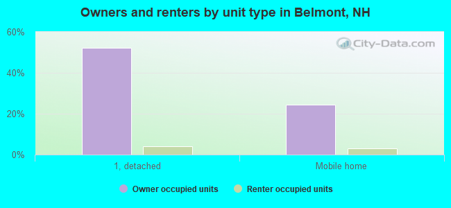 Owners and renters by unit type in Belmont, NH