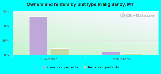 Owners and renters by unit type in Big Sandy, MT