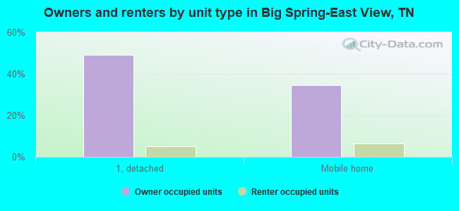 Owners and renters by unit type in Big Spring-East View, TN