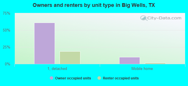Owners and renters by unit type in Big Wells, TX