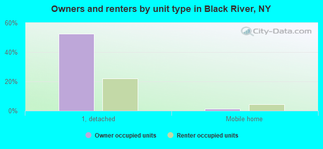 Owners and renters by unit type in Black River, NY