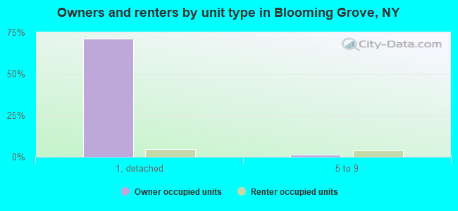 Owners and renters by unit type in Blooming Grove, NY