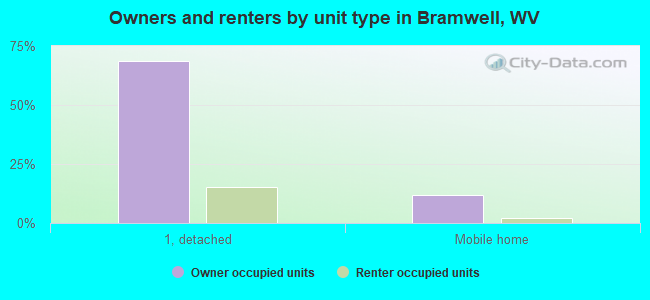 Owners and renters by unit type in Bramwell, WV