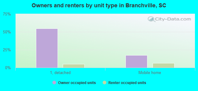 Owners and renters by unit type in Branchville, SC
