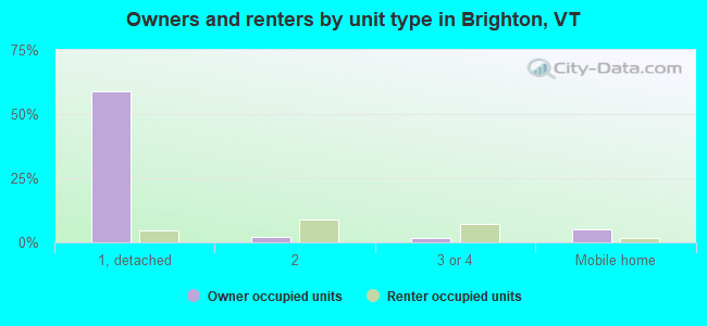 Owners and renters by unit type in Brighton, VT