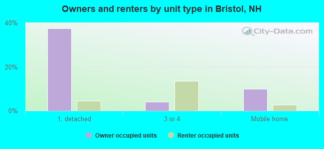 Owners and renters by unit type in Bristol, NH