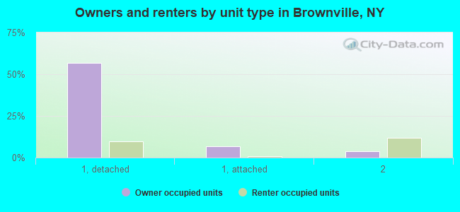 Owners and renters by unit type in Brownville, NY