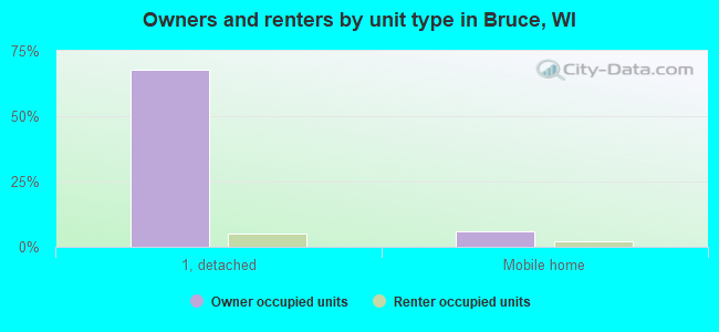 Owners and renters by unit type in Bruce, WI