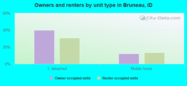 Owners and renters by unit type in Bruneau, ID