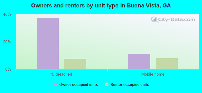 Owners and renters by unit type in Buena Vista, GA