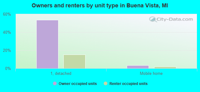 Owners and renters by unit type in Buena Vista, MI