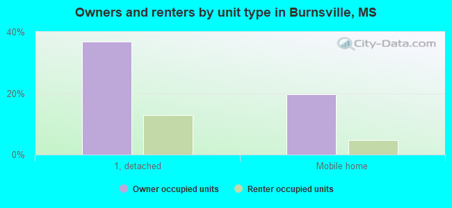 Owners and renters by unit type in Burnsville, MS
