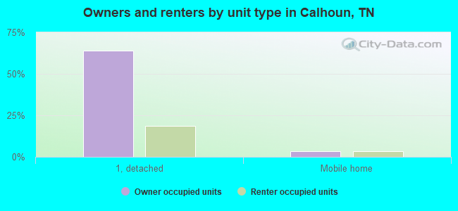 Owners and renters by unit type in Calhoun, TN