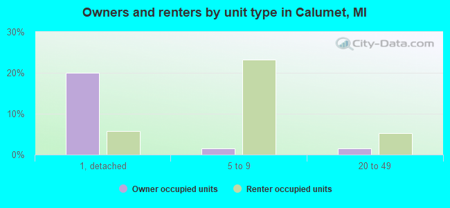 Owners and renters by unit type in Calumet, MI