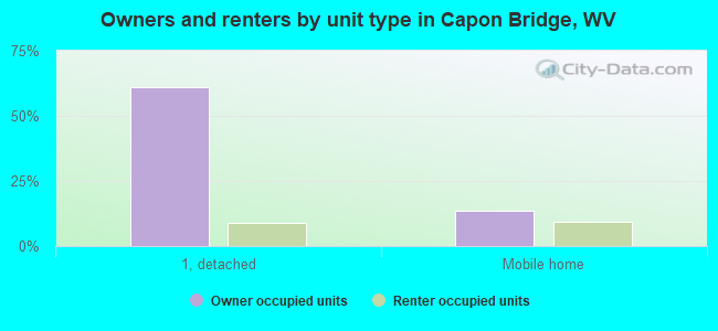 Owners and renters by unit type in Capon Bridge, WV