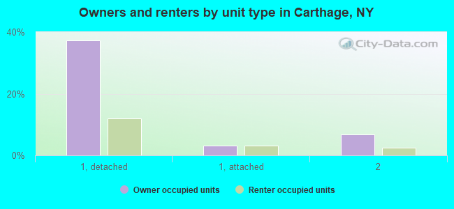 Owners and renters by unit type in Carthage, NY