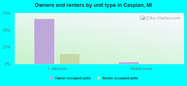 Owners and renters by unit type in Caspian, MI